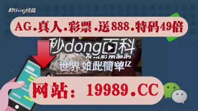 2024年澳门今晚开奖号码现场直播,功能性操作方案制定_精英款49.371