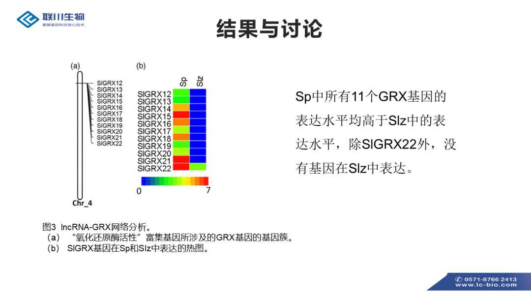 新澳精准资料免费大全,调整细节执行方案_模拟版78.634