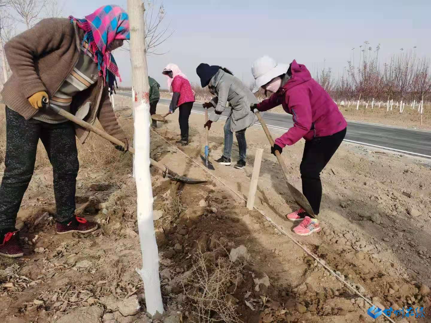 林场公司迈向绿色繁荣的未来之路发展规划揭秘