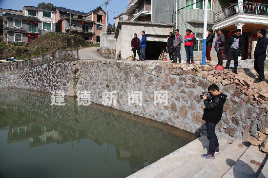 水堤村，最新发展动态与社区新貌报道