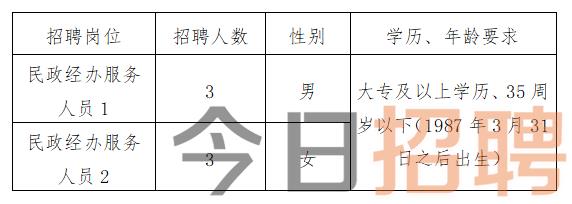 永德县民政局最新招聘信息概览