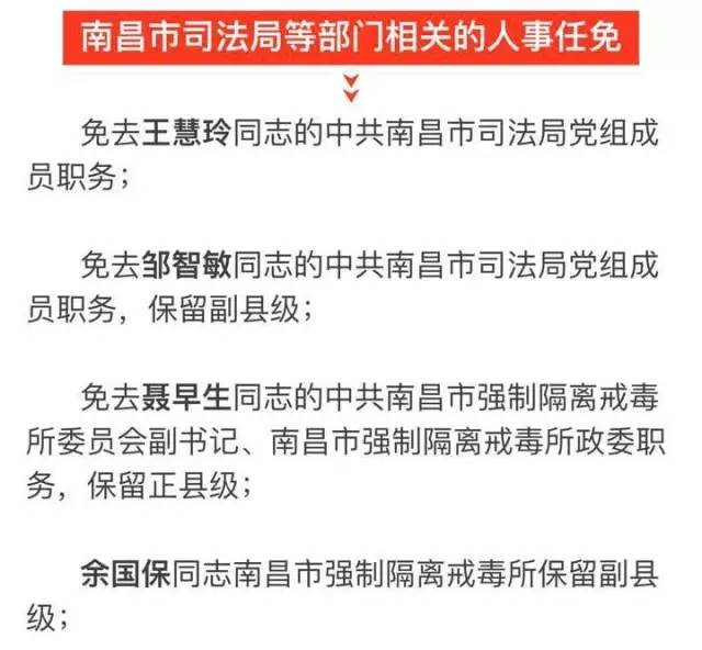 南海区科技局人事任命动态深度解析