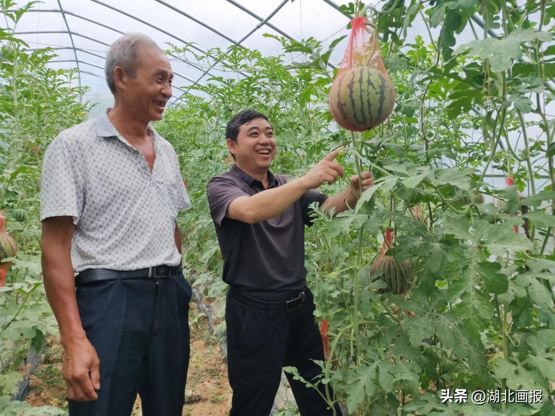 愚公乡重塑乡村交通网络，助力地方繁荣发展的最新交通新闻