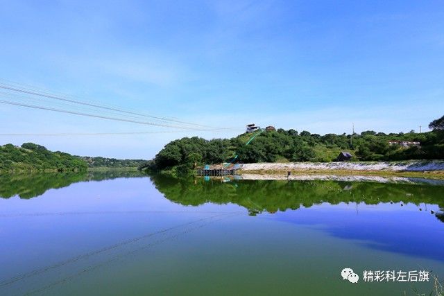 乌旦塔拉林场最新动态报道