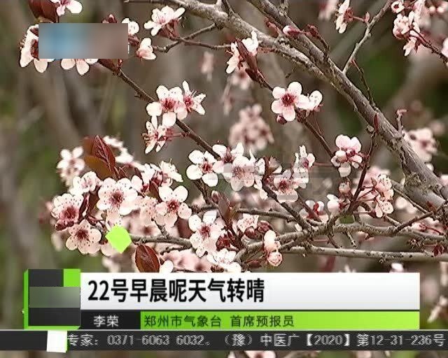 桃花盛开季天气预报，准备好迎接缤纷色彩了吗？