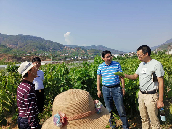 延长县农业农村局新项目推动农业现代化助力乡村振兴