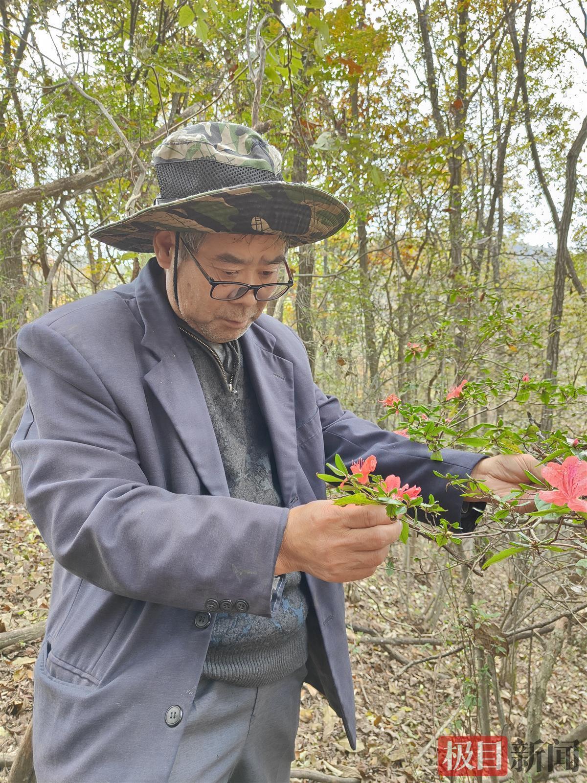 十堰市新闻出版局最新招聘启事概览